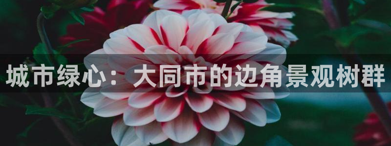 新宝gg平台开户