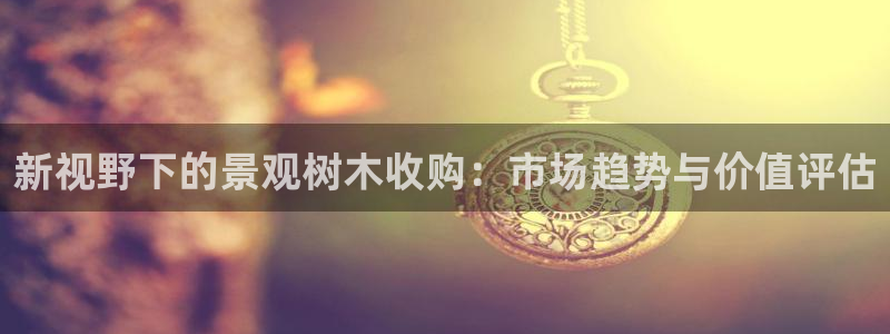 新宝gg创建奇迹