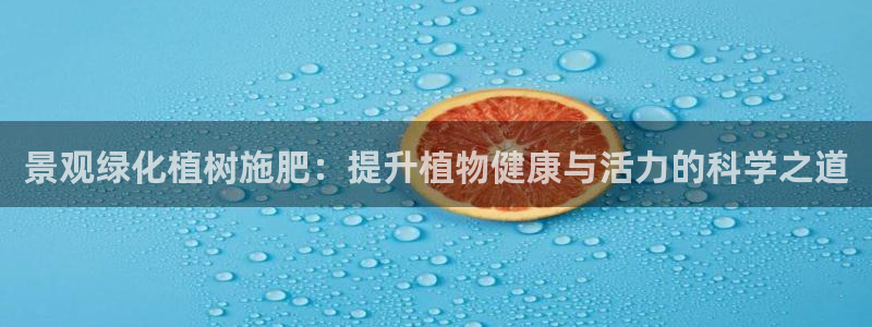 新宝gg开好
