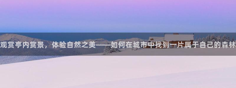 新宝gg金砖彩票