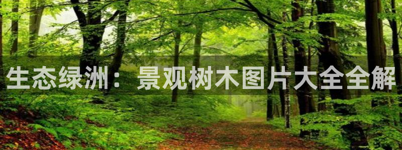 新宝娱gg