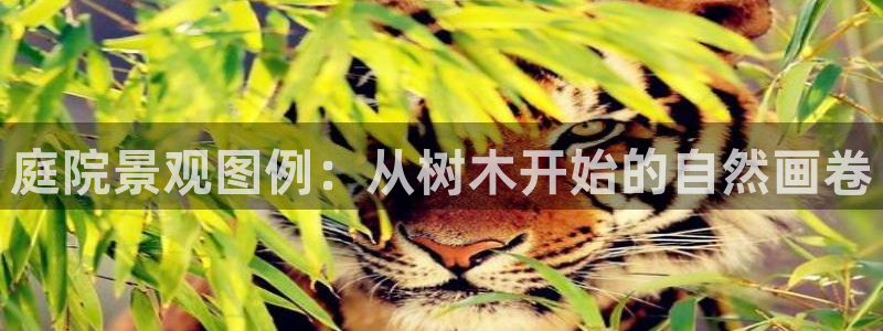新宝gg充值