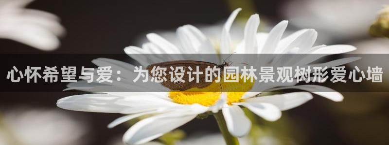 新宝太阳gg