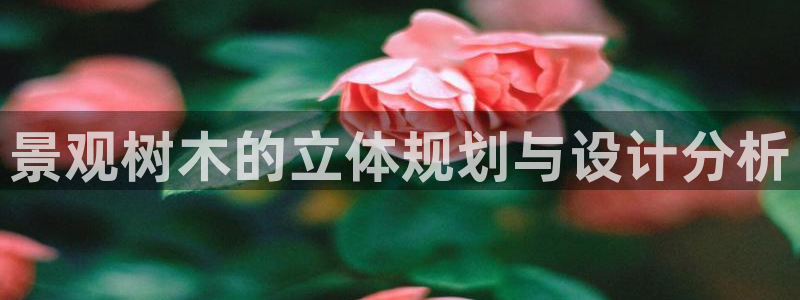 新宝gg主管baidu