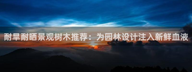 新宝gg官网登录找代理