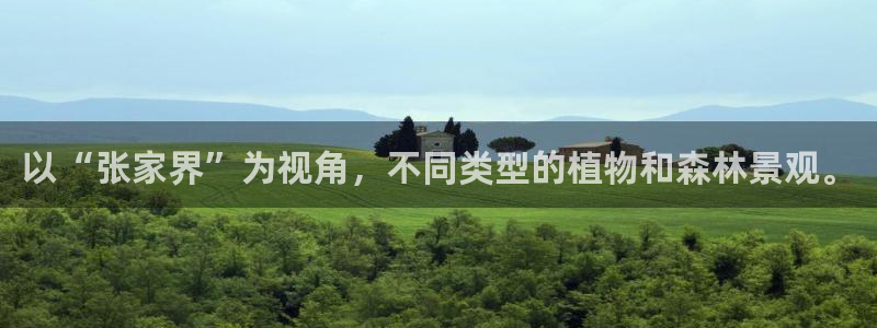 新宝gg 登陆