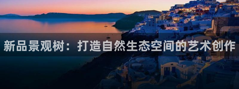 新宝gg网娱乐
