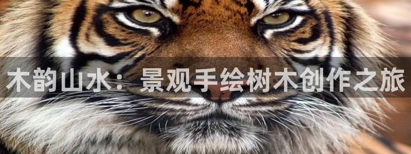 新宝gg充值