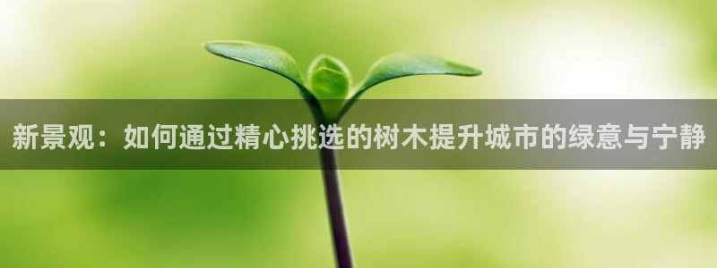 新宝gg合法吗