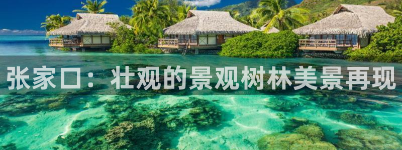 新宝gg为什么没人管