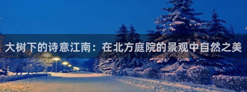 新宝gg平台首页