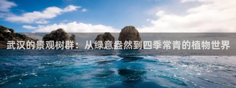 新宝gg主管weibo