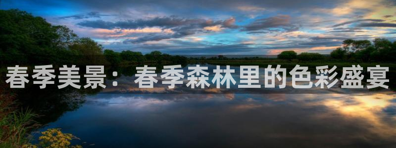 创造奇迹 新宝gg