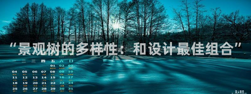 新宝gg申请账号