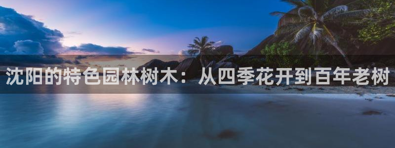 新宝gg代理条件