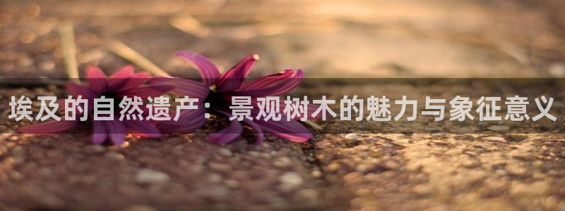 新宝gg直属上级