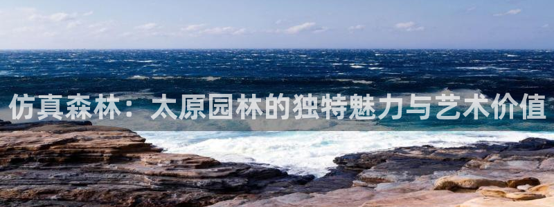 新宝奇迹GG