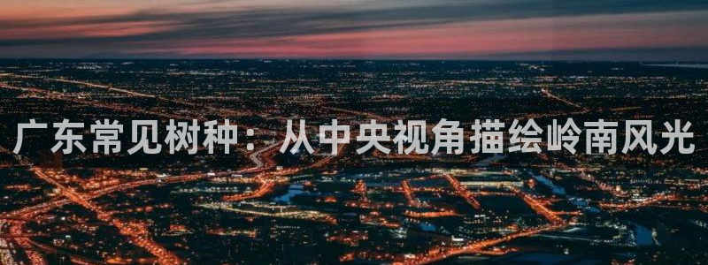 新宝GG53339咨询新宝GG