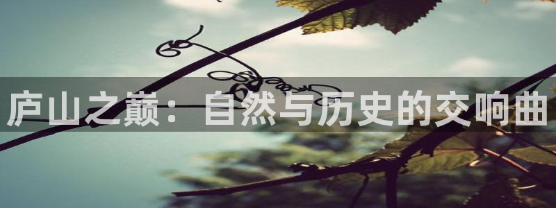 新宝gg娱乐客户端下载