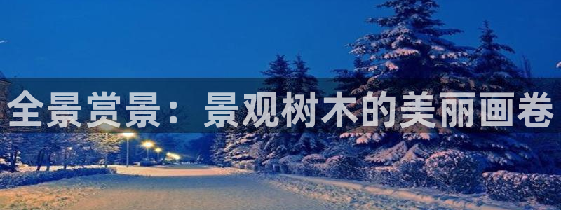 新宝GG朔78778