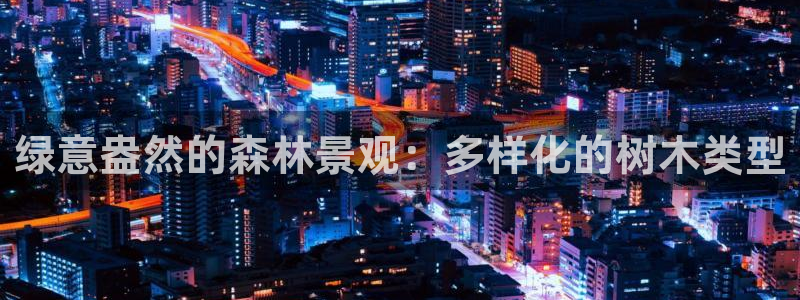新宝gg奖金