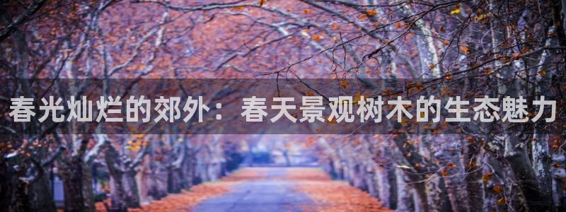 新宝GG国际