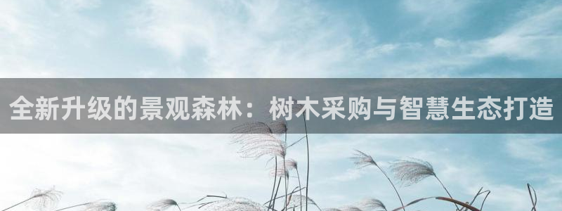 新宝GG最高返点多少