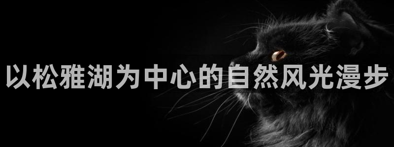 新宝gg登