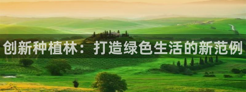 新宝gg   创造奇迹