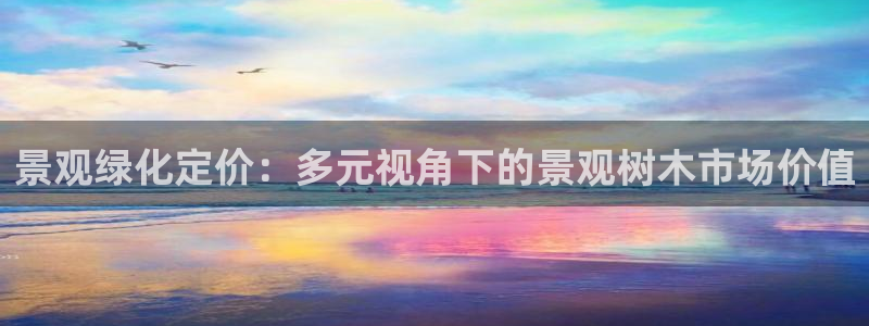 新宝gg开