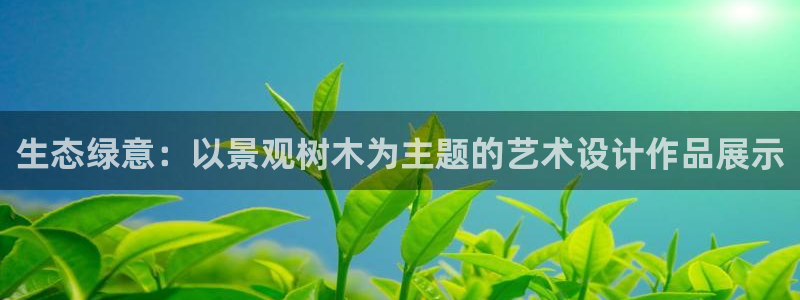 新宝gg开好