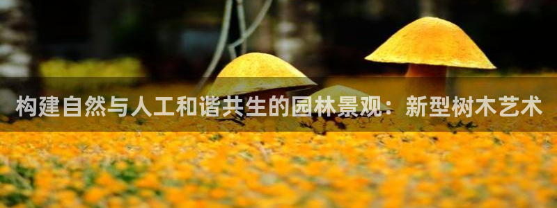 新宝GG官方域名