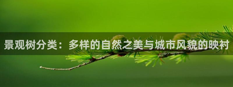 新宝gg注销：景观树分类：多样的自然之美与城市风貌的映衬
