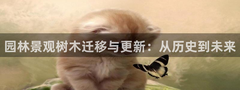 新宝gg平台下载安装