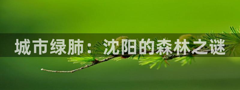 新宝gg   创造奇迹