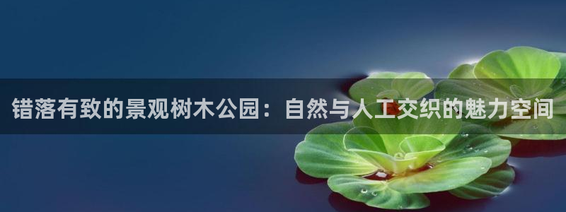 新宝gg官方主管