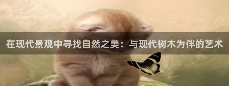 新宝gg如何