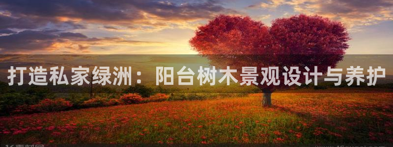新宝gg真的能赚钱么