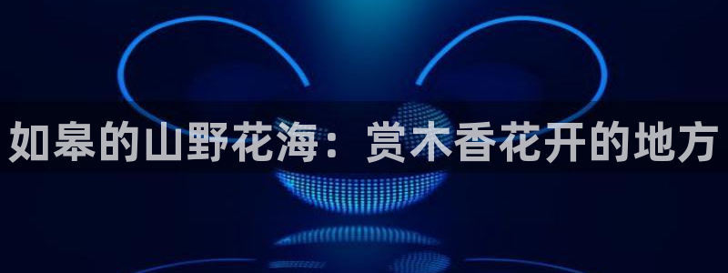 新宝gg平台下载安装