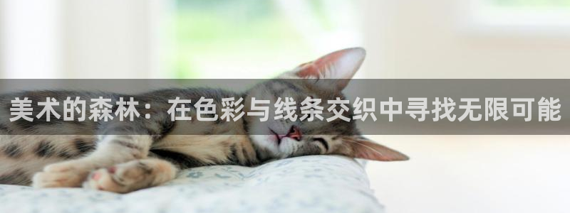 新宝gg娱乐盟主