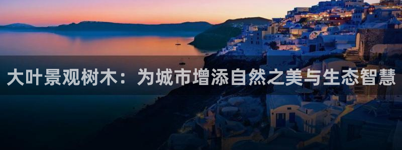 新宝.gg：大叶景观树木：为城市增添自然之美与生态智慧