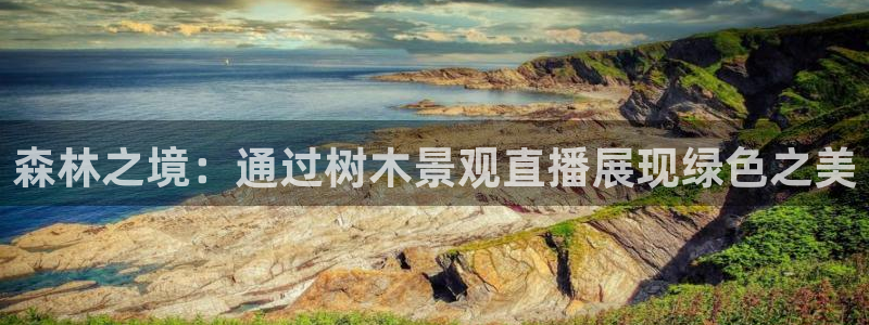 新宝gg代理条件