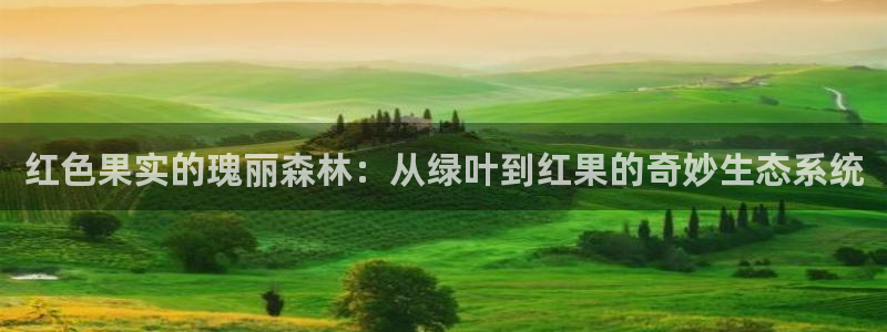 新宝GG之家