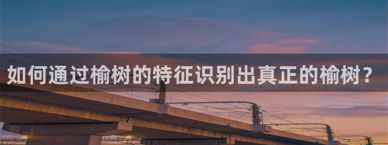 新宝gg指定平台