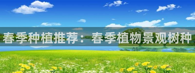 新宝GG都有哪些计划
