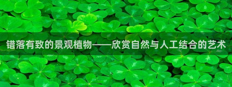 创造奇迹新宝gg