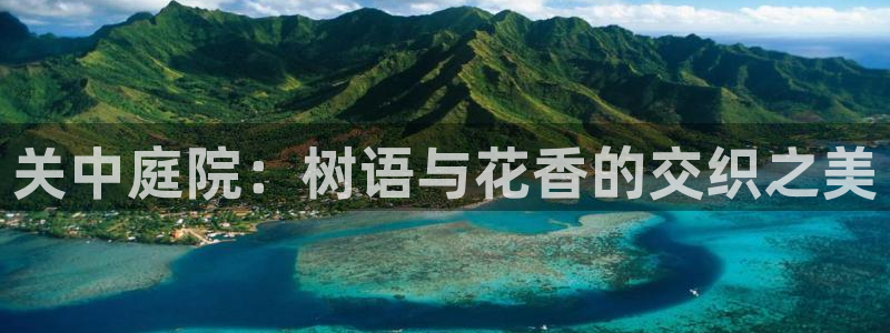 新宝gg 黑