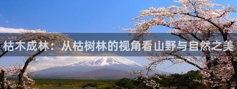 新宝gg一创造奇迹