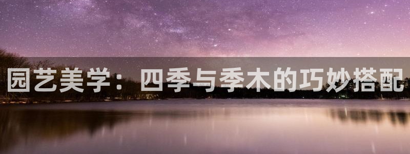 新宝GG网页