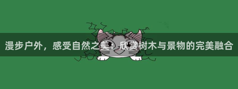 新宝gg招商致胜团队